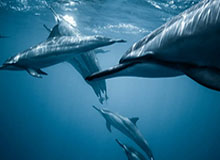 九游体育app官网下载-斯诺克威尔士公开赛：赵心童4-2战胜穆迪晋级16强